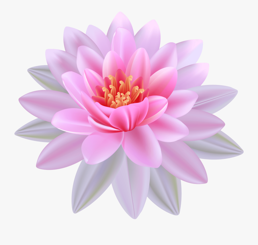 Water Lily Flower Png, Transparent Clipart