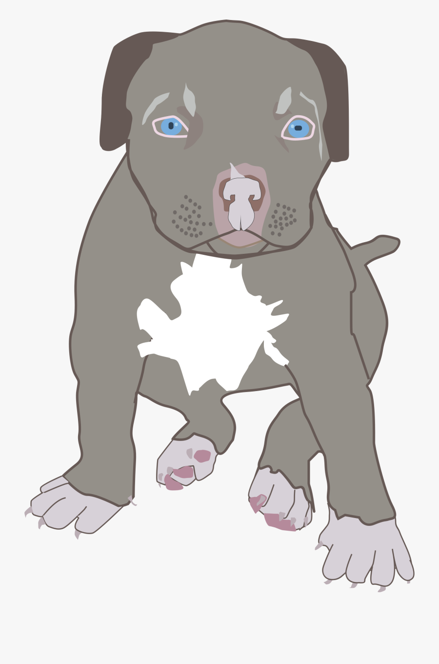 Pit Bull Puppy Medium - Pit Bull Clipart Png, Transparent Clipart