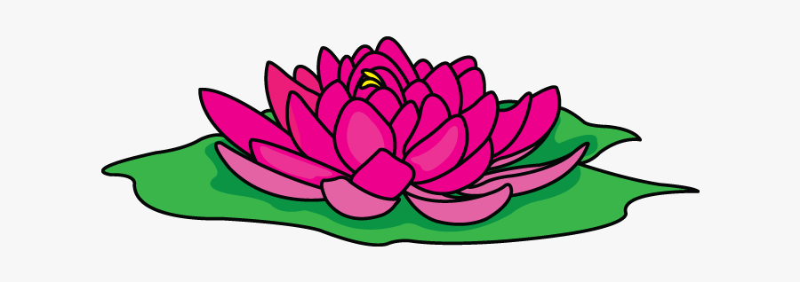 Lotus Flower Drawing Pictures And Cliparts, Download - Lotus, Transparent Clipart