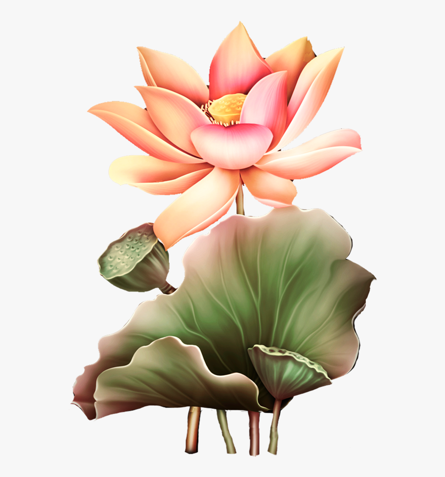 Clip Art Image Du Blog Zezete - Tubes Transparents Lotus Pour Blog, Transparent Clipart