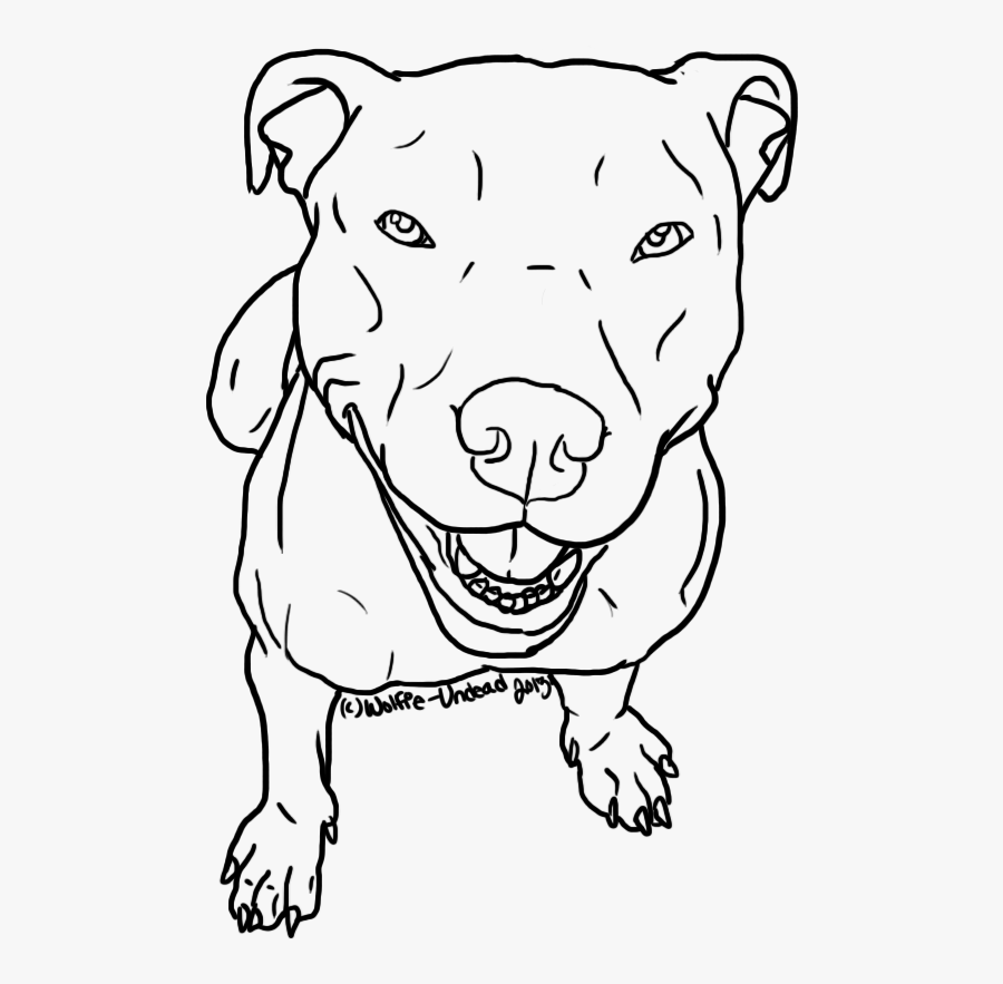 American Pit Bull Terrier Line Art Drawing Sketch - Simple Drawings Of Pitbulls, Transparent Clipart