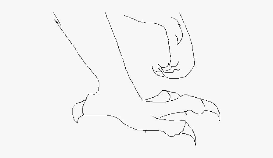 Claws Clipart Leg - Sketch, Transparent Clipart