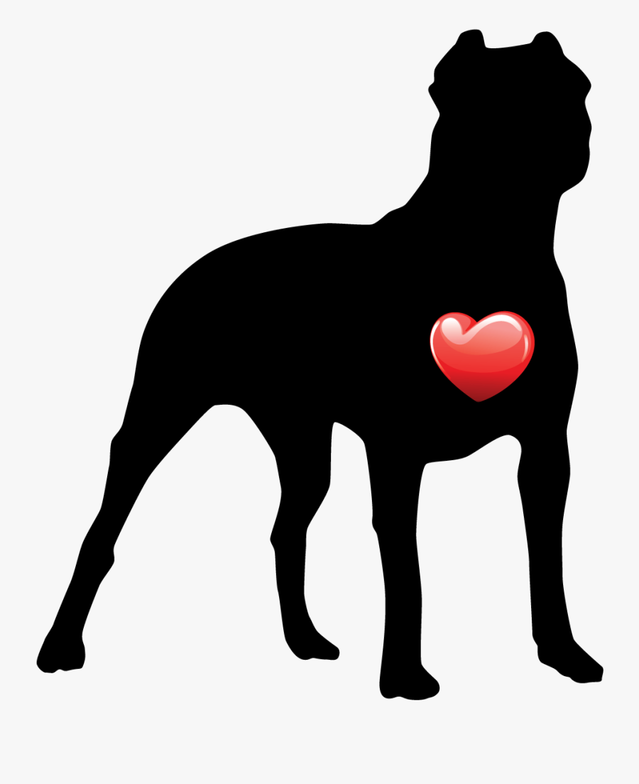 My Heart Pit Bull - Dog Catches Something, Transparent Clipart