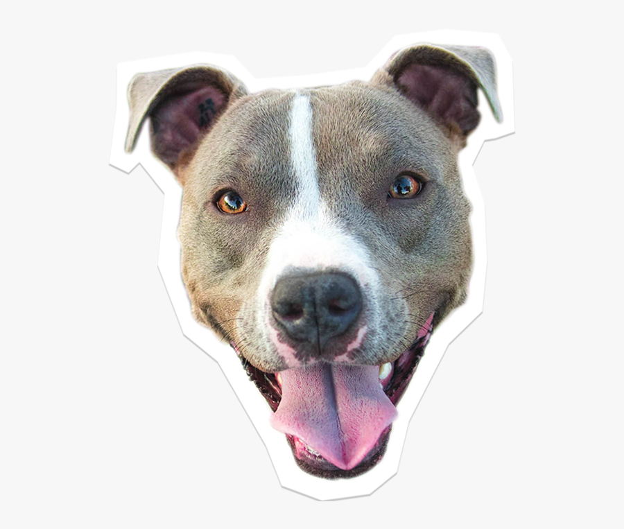 Transparent Pitbull Clipart - Pit Bull Pngs, Transparent Clipart