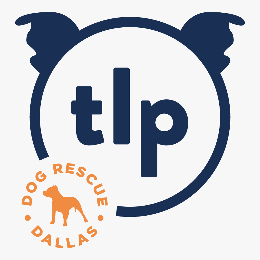 Pitbull Shadow Shot Glass Clipart , Png Download, Transparent Clipart