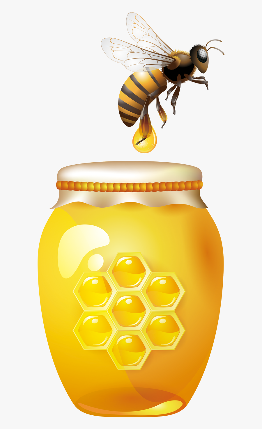 Transparent Honey Bees Png - Clip Art Bee Transparent Background, Transparent Clipart