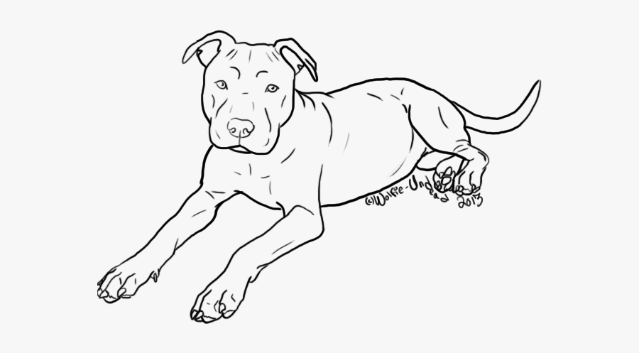 Free To Use Pit - Pit Bull Line Art, Transparent Clipart