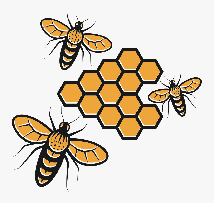 Flower,honey Bee,artwork - Honey Bee Vector Png, Transparent Clipart