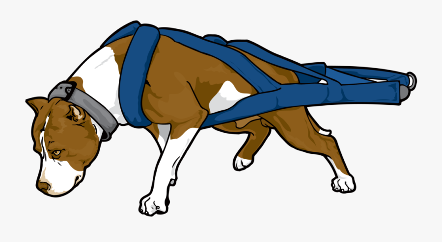 Pitbull Png Clipart - Pitbull Weight Pull Vector, Transparent Clipart