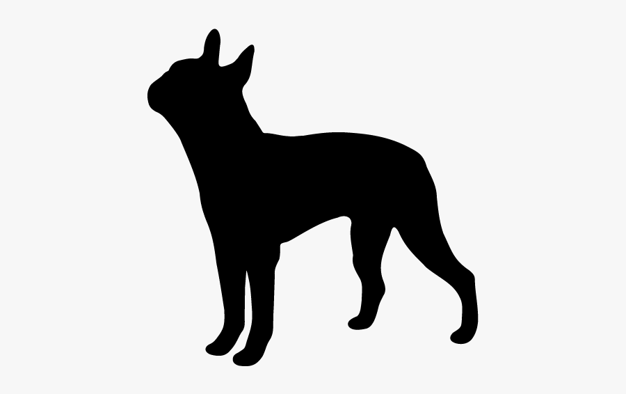 Boston Terrier Silhouette Clipart Free Clip Art Image - Boxer Dog Silhouette Png, Transparent Clipart