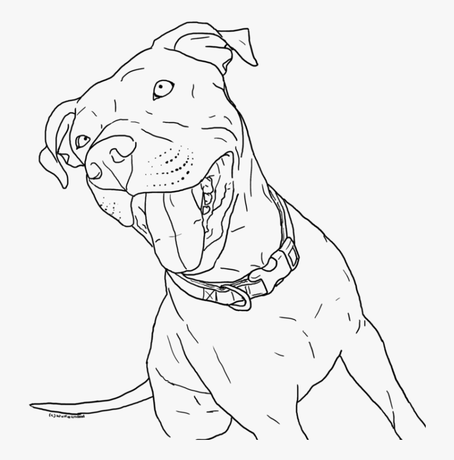 Drawn Bull Blue Nose Pitbull - Pitbull Coloring Pages, Transparent Clipart