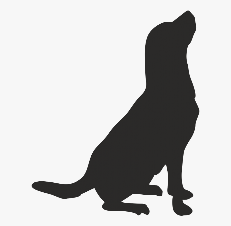 Whiskers American Pit Bull Terrier Drawing Clip Art - Dog, Transparent Clipart