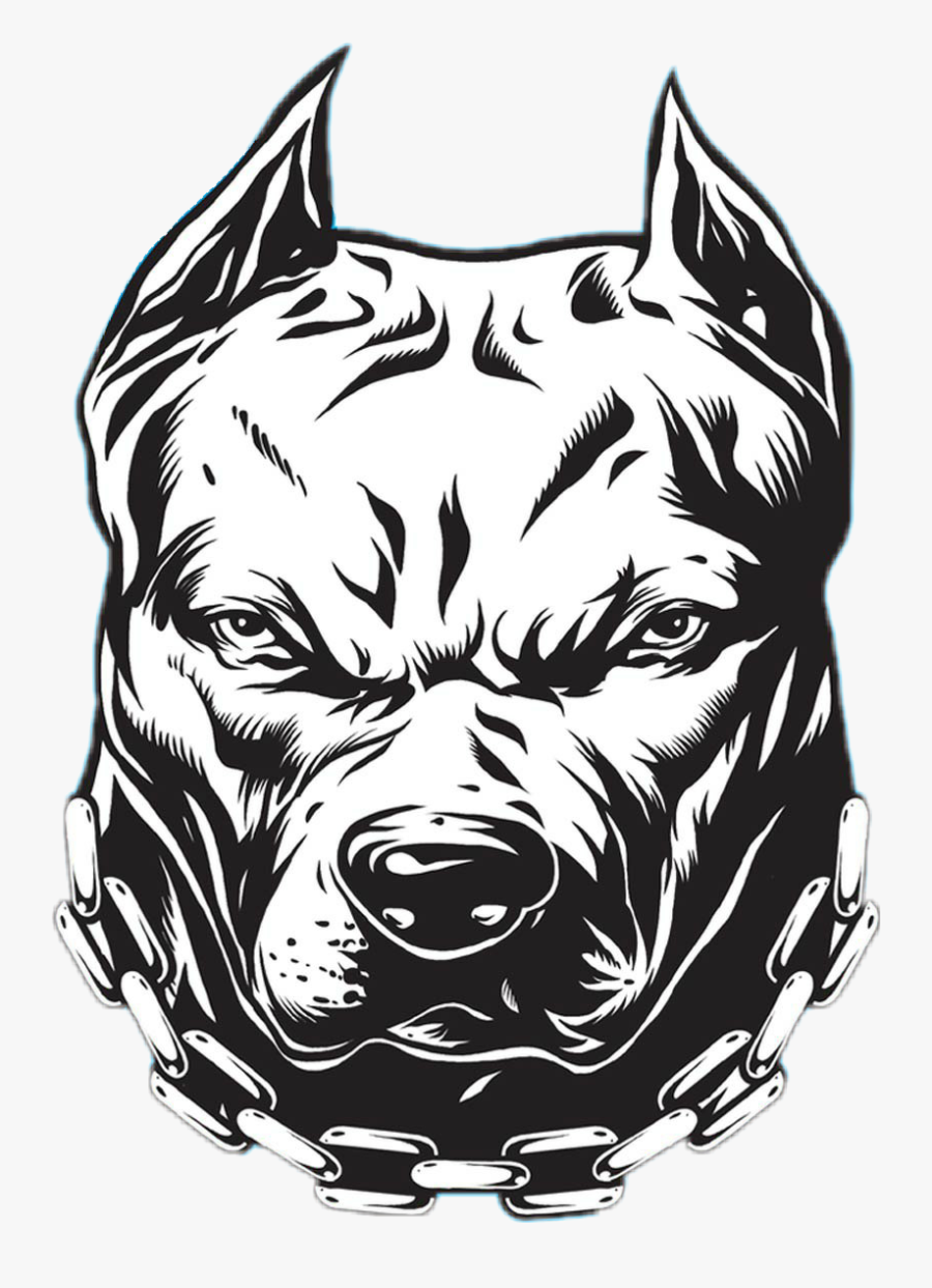 #pitbull - Pitbull Sticker, Transparent Clipart