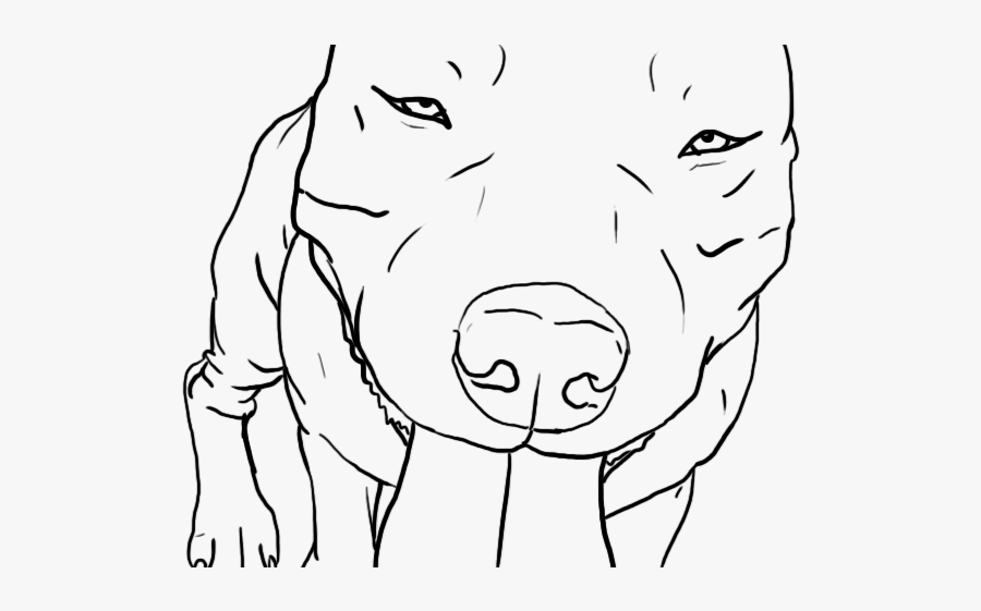 Easy American Bully Drawing, Transparent Clipart