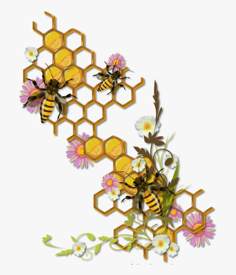 Bee And Honeycomb Clipart , Png Download - Honey Bee Honeycomb Drawing, Transparent Clipart