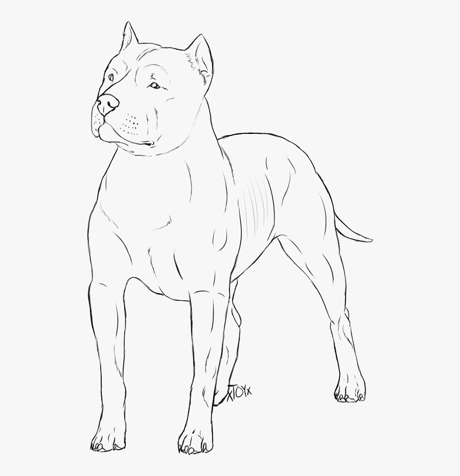 Clip Art Collection Of Free Drawing - Line Art, Transparent Clipart