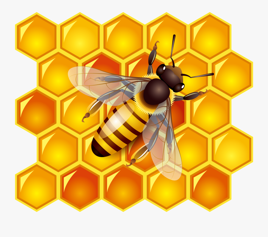Vector Library Clip Art Transprent Png - Bees And Honey Png, Transparent Clipart