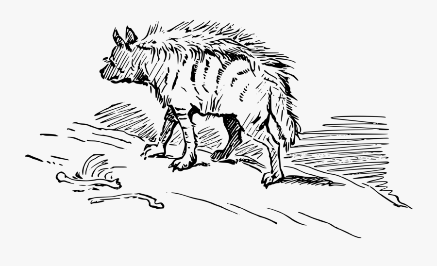 Art,monochrome Photography,carnivoran - Brown Hyenas Clipart Black And White, Transparent Clipart