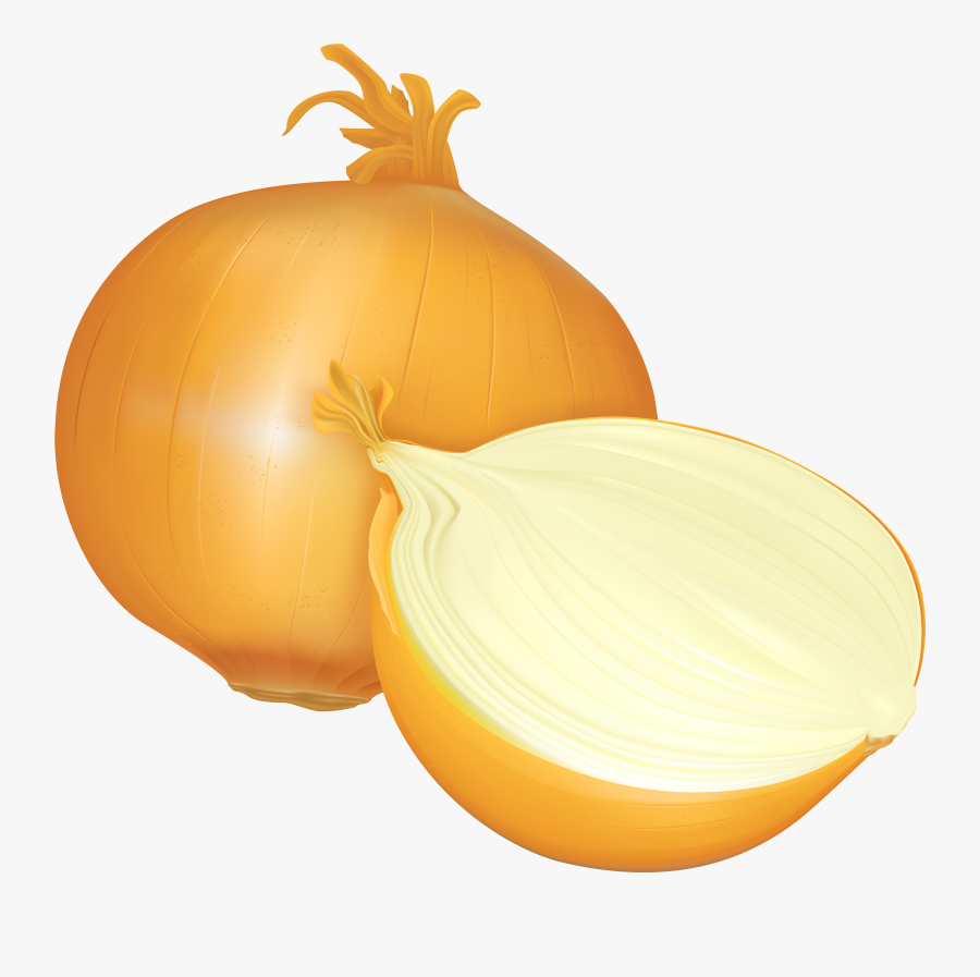 Onion Png Clipart - Clip Art Onion, Transparent Clipart