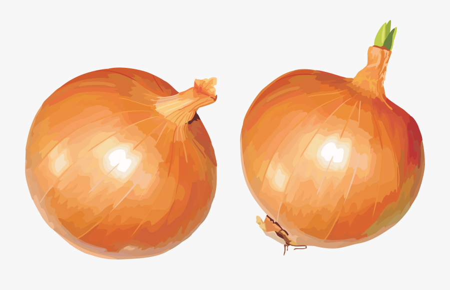 Onion Six - Onion Png, Transparent Clipart