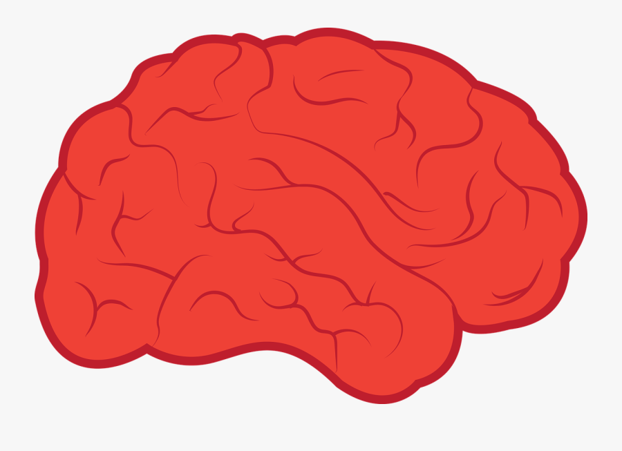 Long Term D Method - Two Differences Between The Nervous And Endocrine Systems, Transparent Clipart