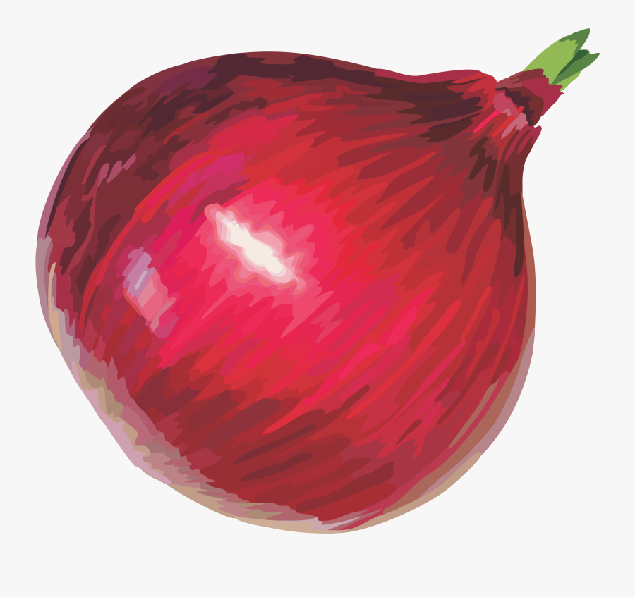Onion Clip Art Image - Onion Cliparts, Transparent Clipart