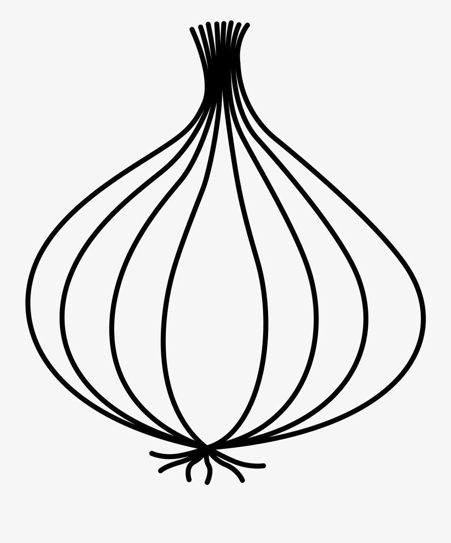 Collection Of Free Onion Drawing Download On Ui Ex - Drawing Picture Of Onion, Transparent Clipart