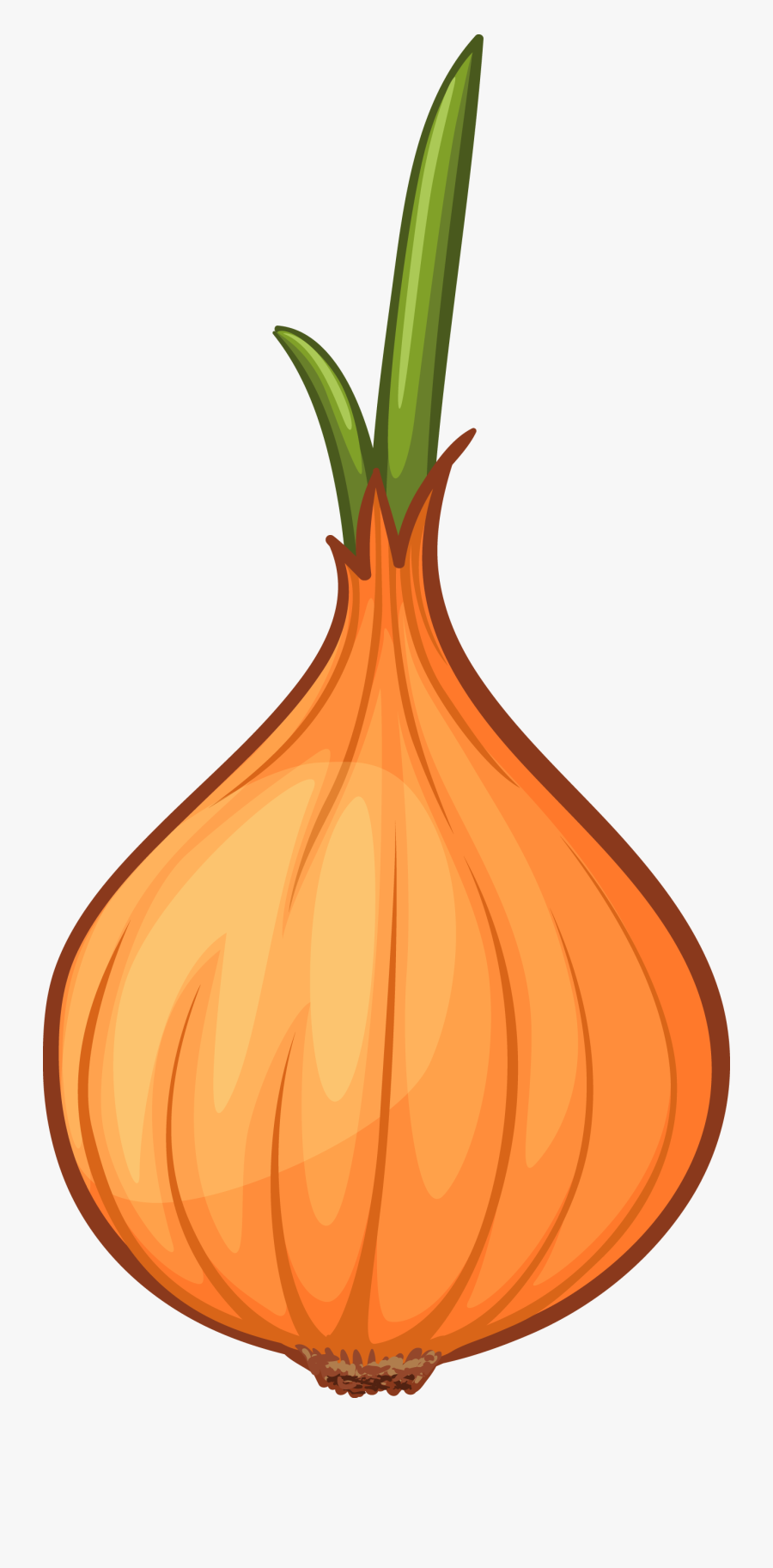 Clip Art Calabaza Clip Art Creative - Orange Onion Clip Art, Transparent Clipart