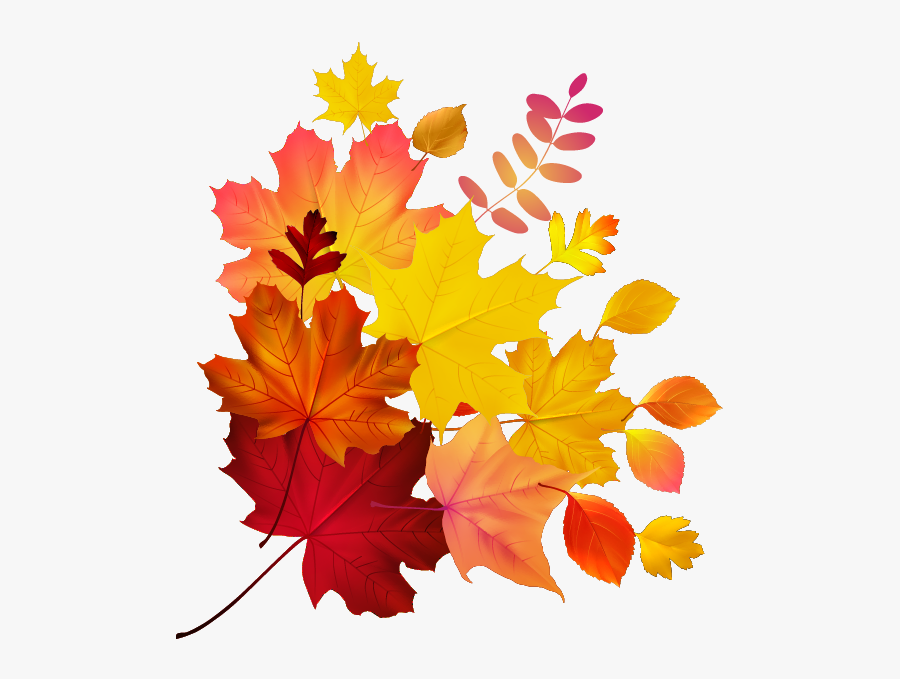 Autumn Color Leaf Maple Royalty-free Download Hq Png - Transparent Background Autumn Leaves, Transparent Clipart