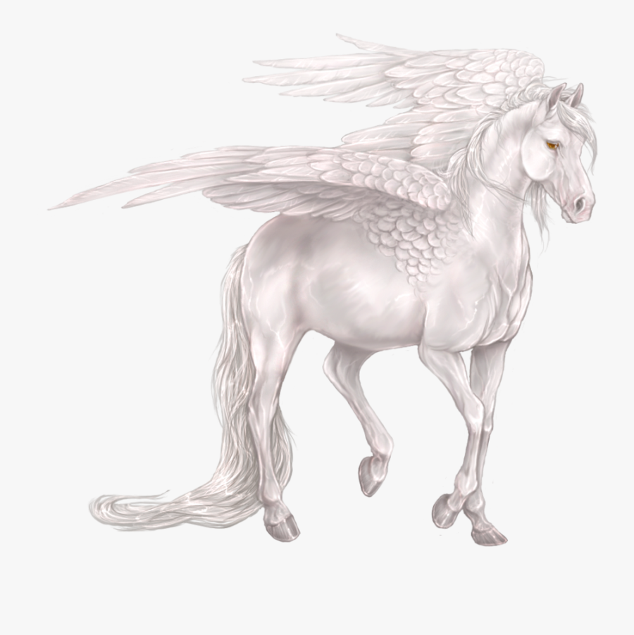 Drawn Unicorn Realistic - White Pegasus Drawing, Transparent Clipart