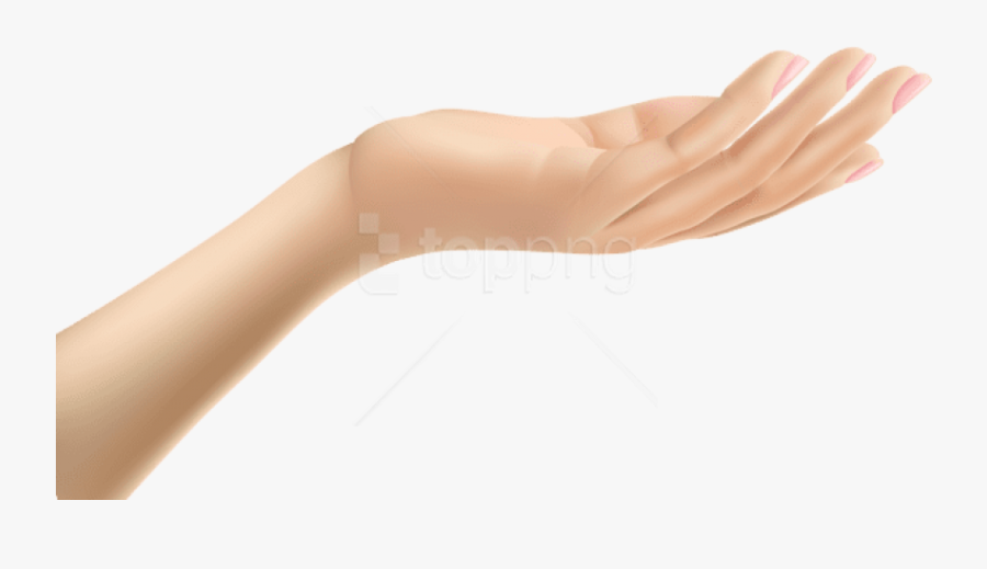 Download Female Hand - Clip Art Hands Transparent, Transparent Clipart