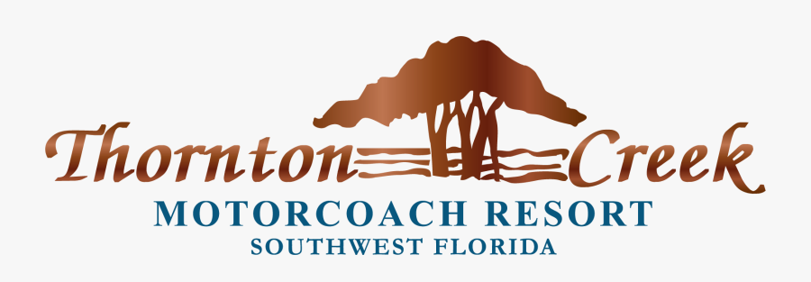 Picture - Illustration, Transparent Clipart