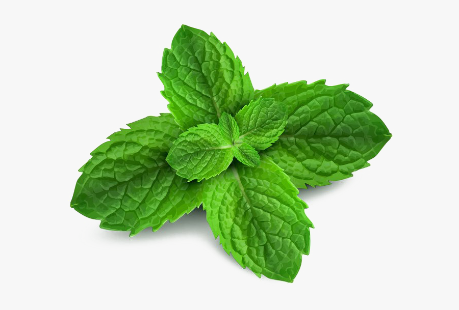 Peppermint Png Pic - Peppermint Png, Transparent Clipart