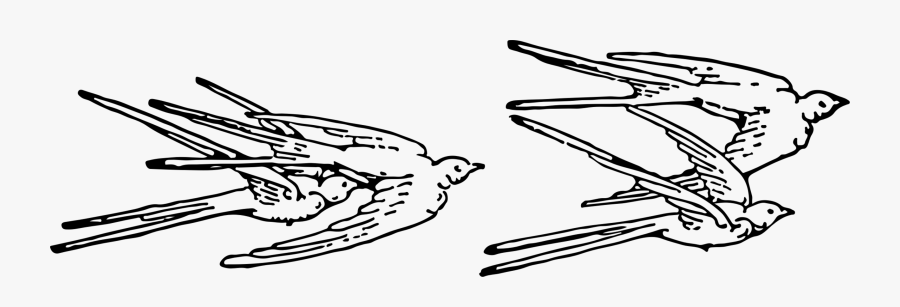 Art,monochrome Photography,monochrome - Free Swallows Clip Art, Transparent Clipart