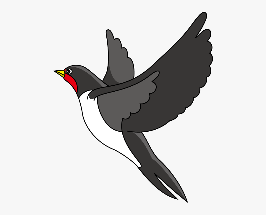 Paisley Clipart Boho Bird - ツバメ の 絵, Transparent Clipart