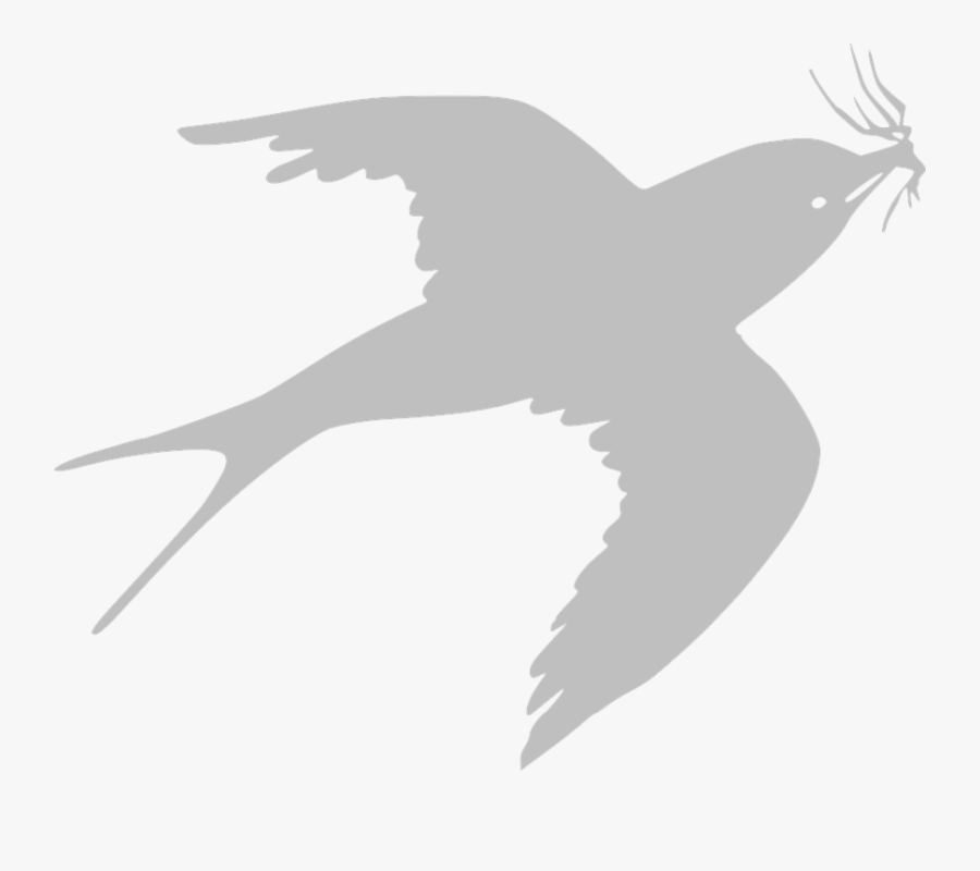 Swallow, Bird, Flying, Grey, Animal, Wildlife, Nature - Black Sparrow Png, Transparent Clipart
