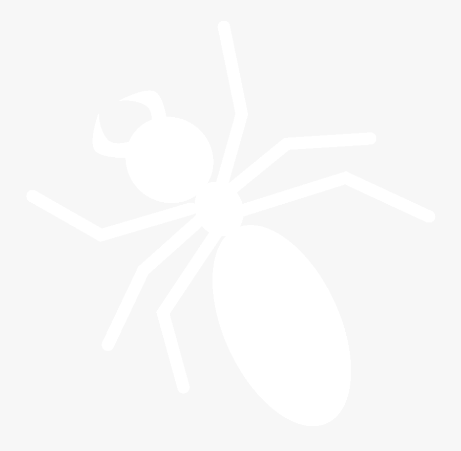 Tarantula, Transparent Clipart