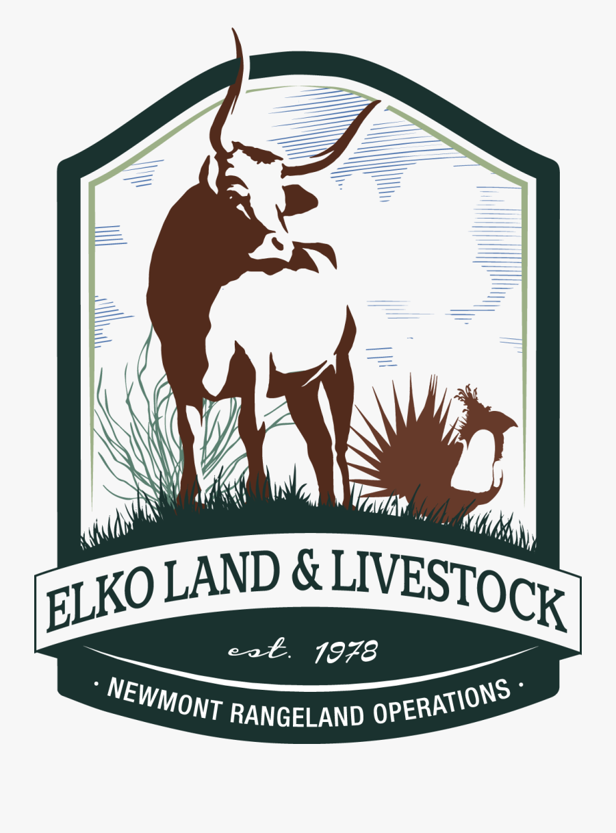 Picture - Illustration, Transparent Clipart