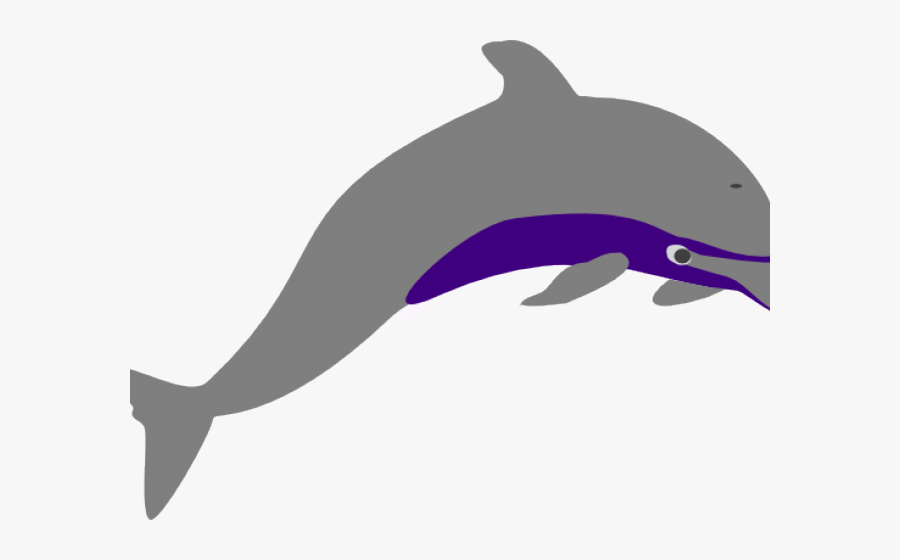 Spinner Dolphin Clipart Transparent Background - Short-beaked Common Dolphin, Transparent Clipart