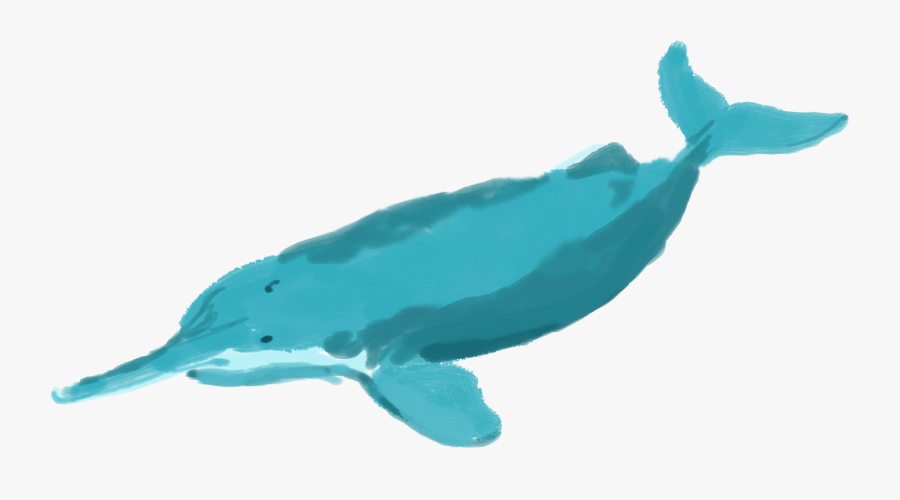 Dolphin Clipart Baiji - Ong Niños, Transparent Clipart