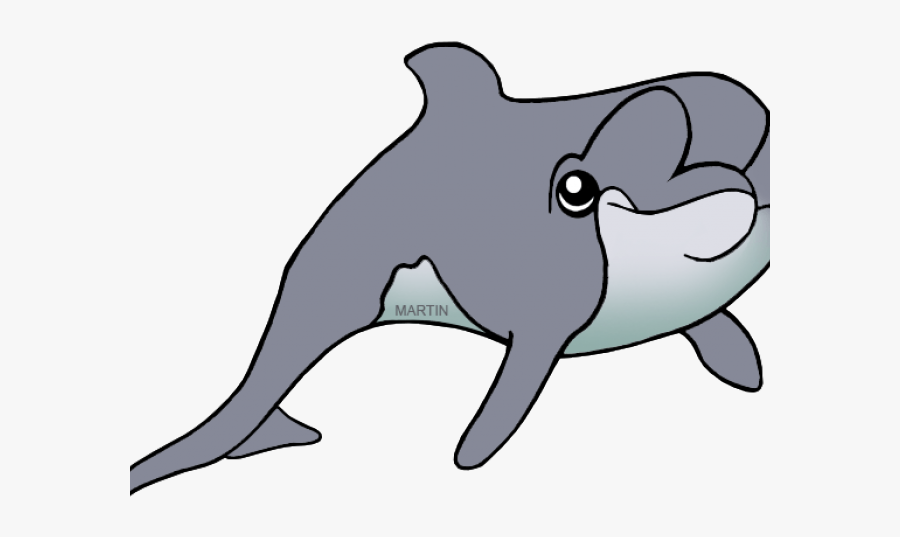 South Carolina State Dolphins, Transparent Clipart
