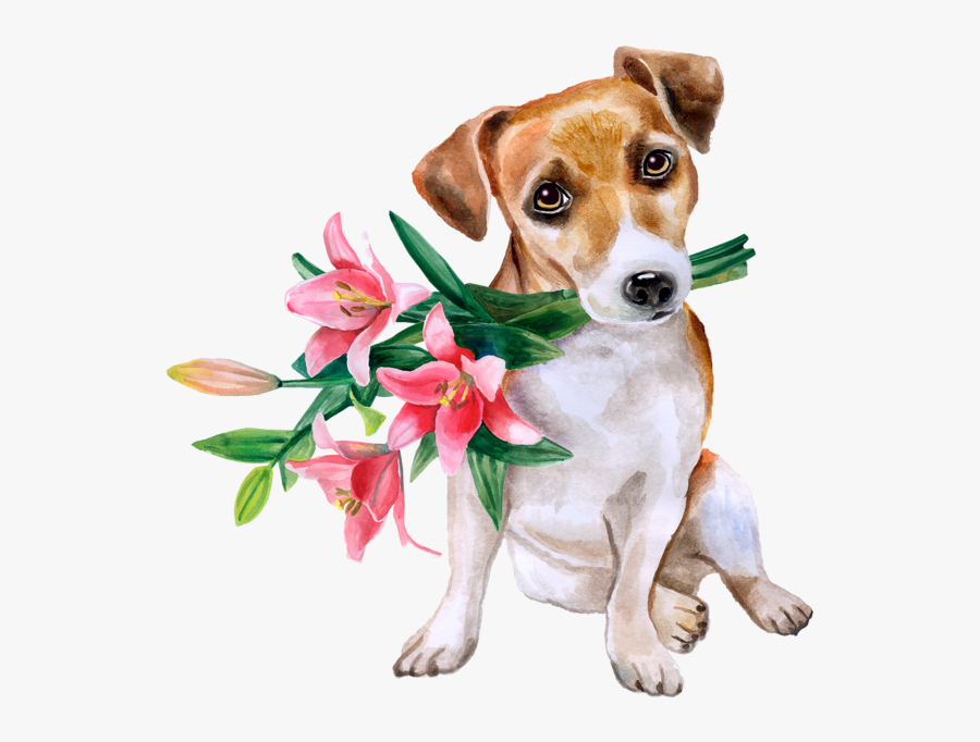 Camiseta Nunca Substime A Mulher Que Tem, Transparent Clipart