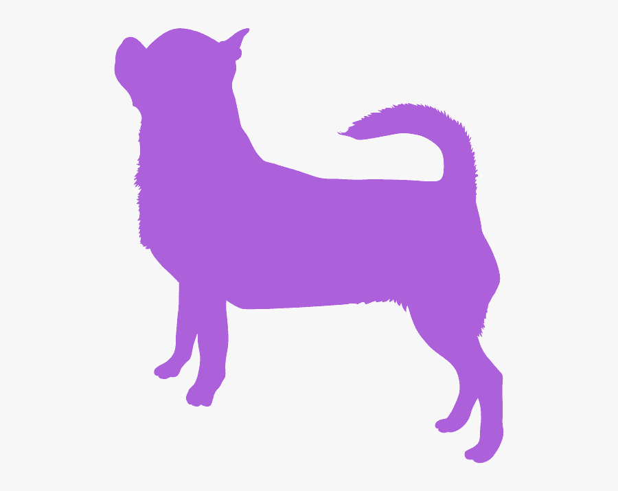 Purple Chihuahua Silhouette Vector, Transparent Clipart