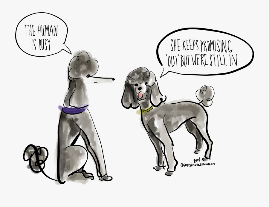 Pin By Spoodlesdoodles On Pinterest Dogs Ink - Cartoon, Transparent Clipart