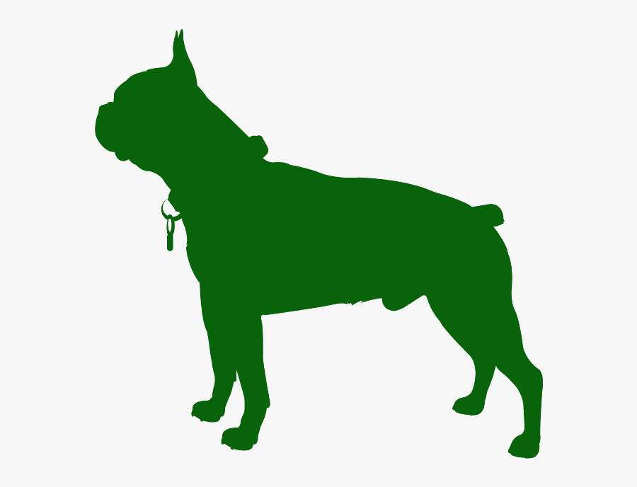 Companion Dog, Transparent Clipart