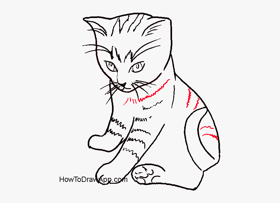 Draw A Small Cat Sitting, Transparent Clipart