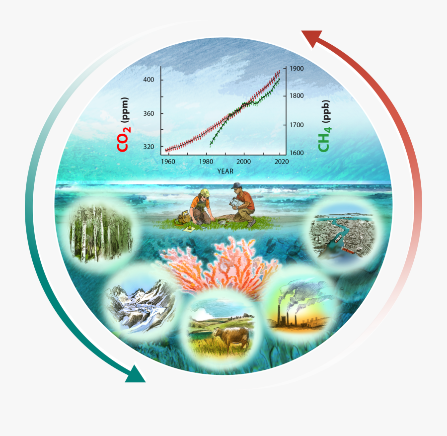 Carbon Cycle On Earth, Transparent Clipart