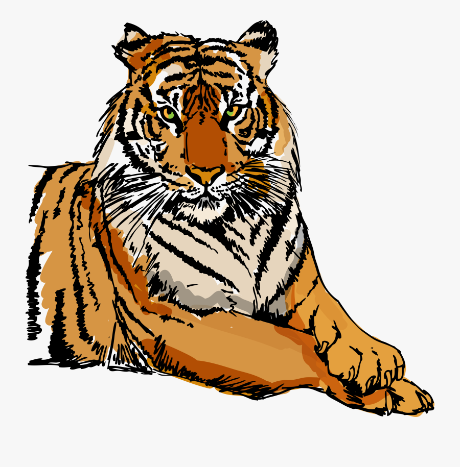 Clipart Black And White Tiger, Transparent Clipart