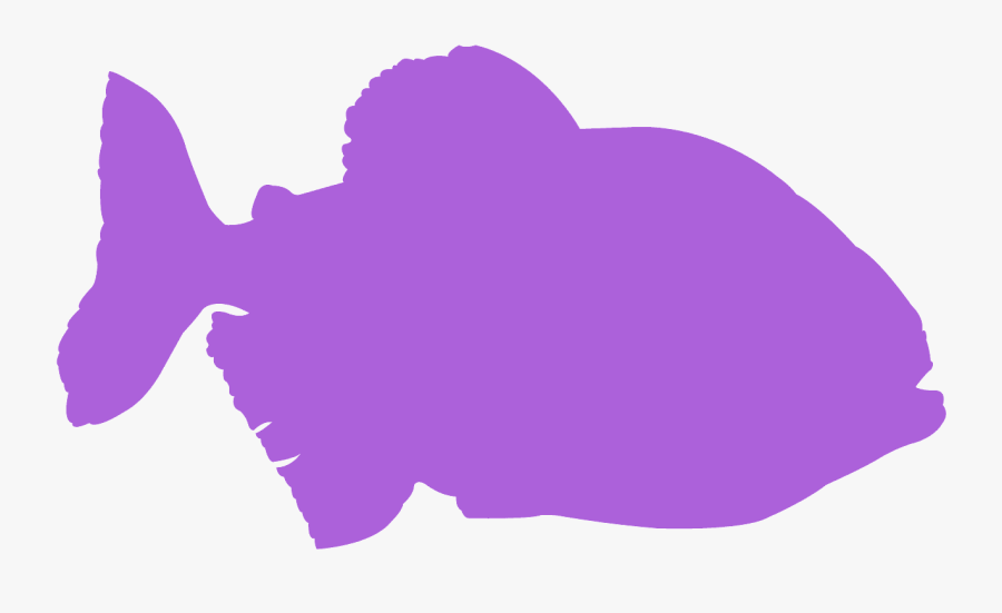 Silhouette Of A Piranha, Transparent Clipart