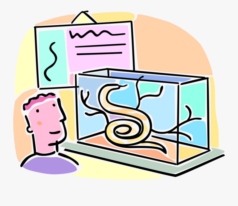 Vector Illustration Of School Student Studies Herpetology, Transparent Clipart